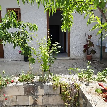 By The Sea Cove Blaca, Mljet - 10416