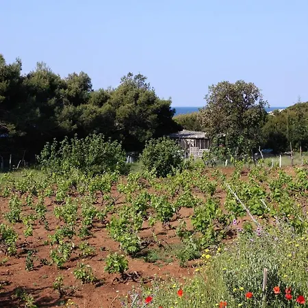 Apartment By The Sea Cove Blaca, Mljet - 10416